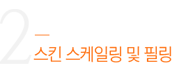 스킨 스케일링 및 필링