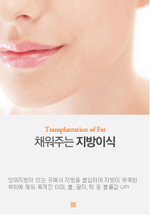 Transplantation of Fat 채워주는 지방이식_자신의 신체에 잉여지방이 있는 곳에서 지방을 흡입하여 지방이 부족한 부위에 채워 푹꺼진 이마, 볼, 팔자, 턱 등 볼륨감 UP!